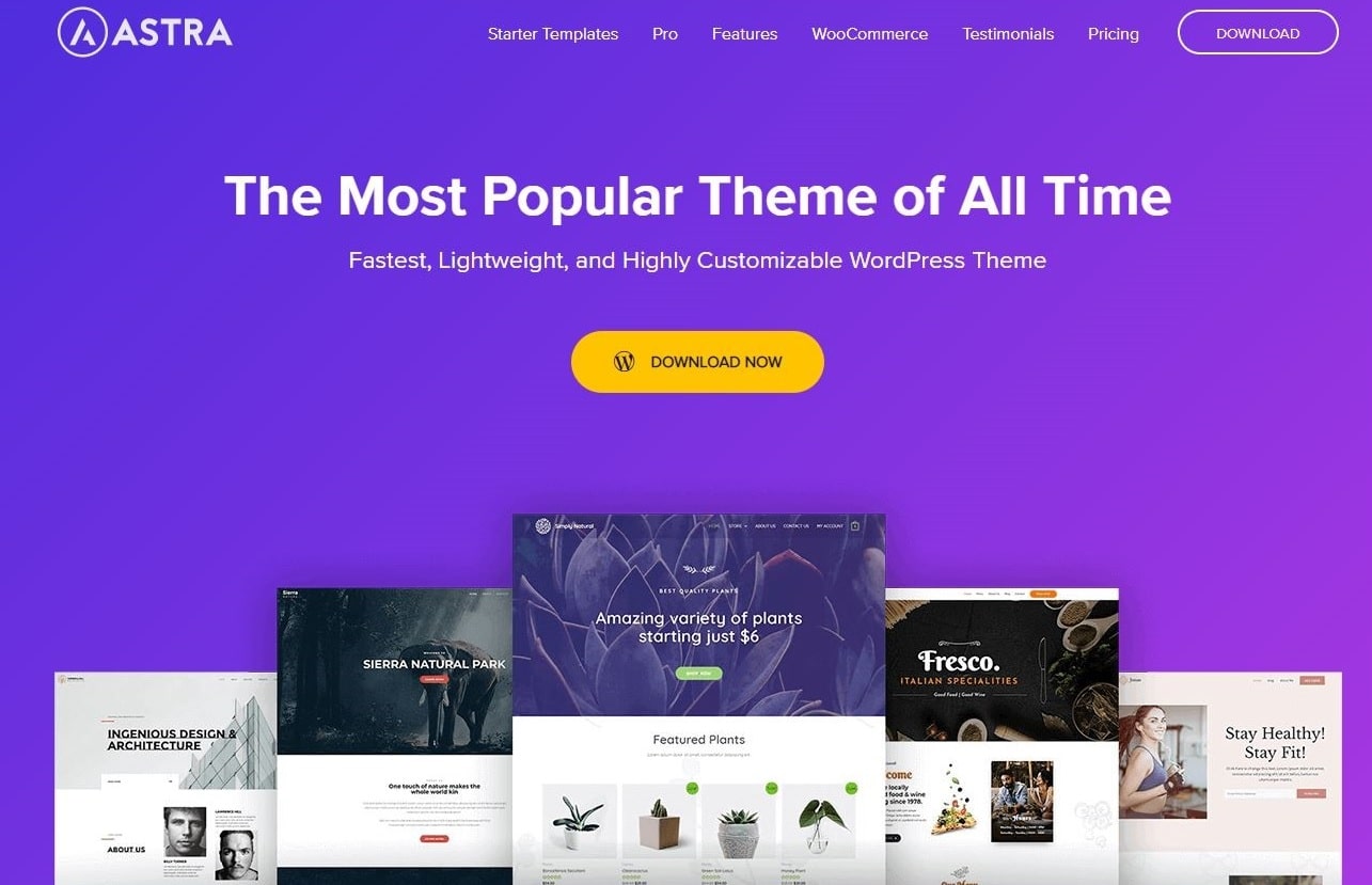 BEST WordPress Themes for Affiliate Sites3